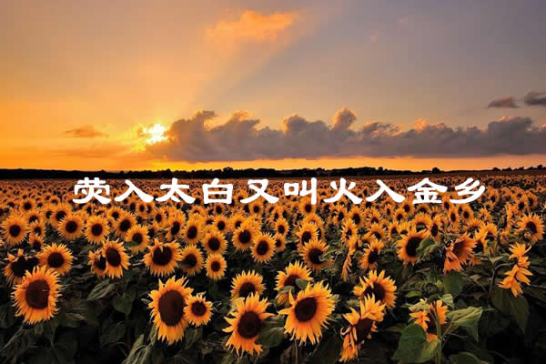 荧入太白又叫火入金乡